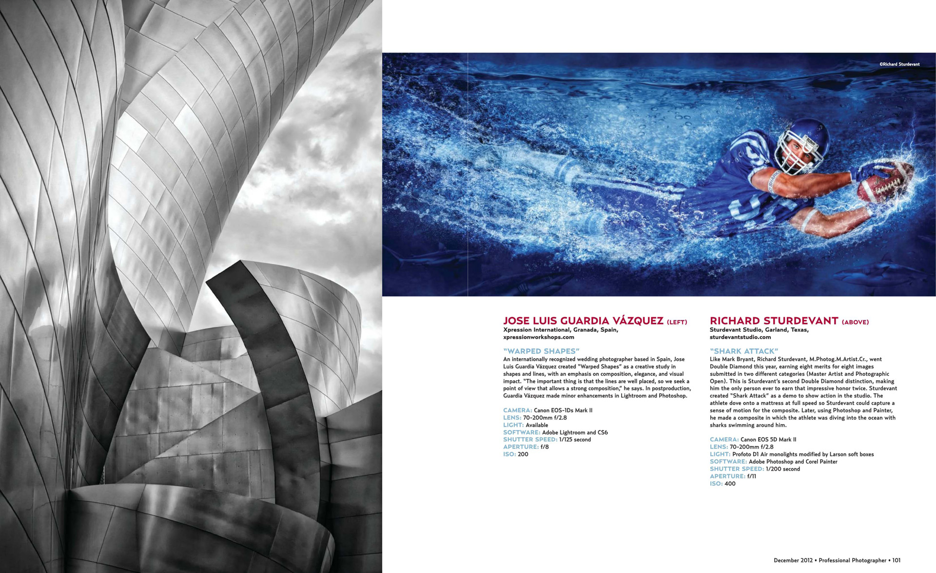 PPA Diamond Photographer Of The Year Web.jpg